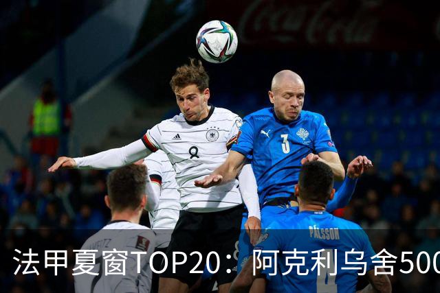 法甲夏窗TOP20：阿克利乌舍5000万欧成标王，费兰4850万欧第二